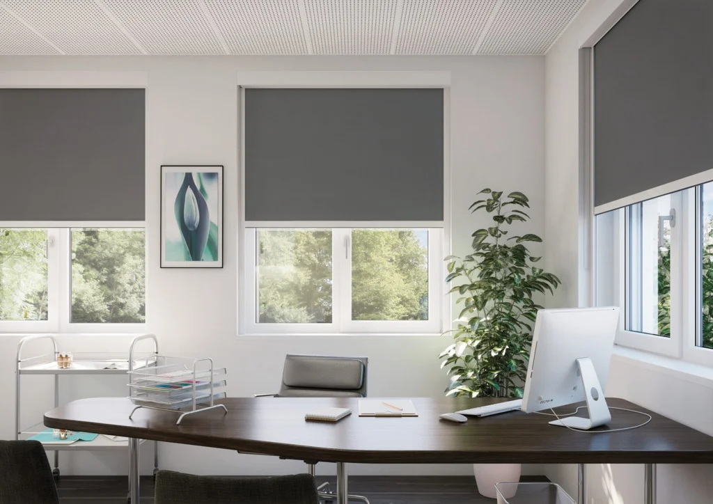 Roller Shades 7